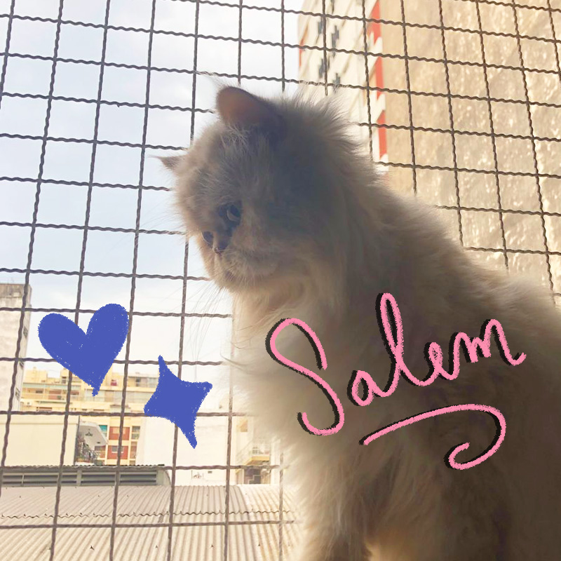 foto Salem